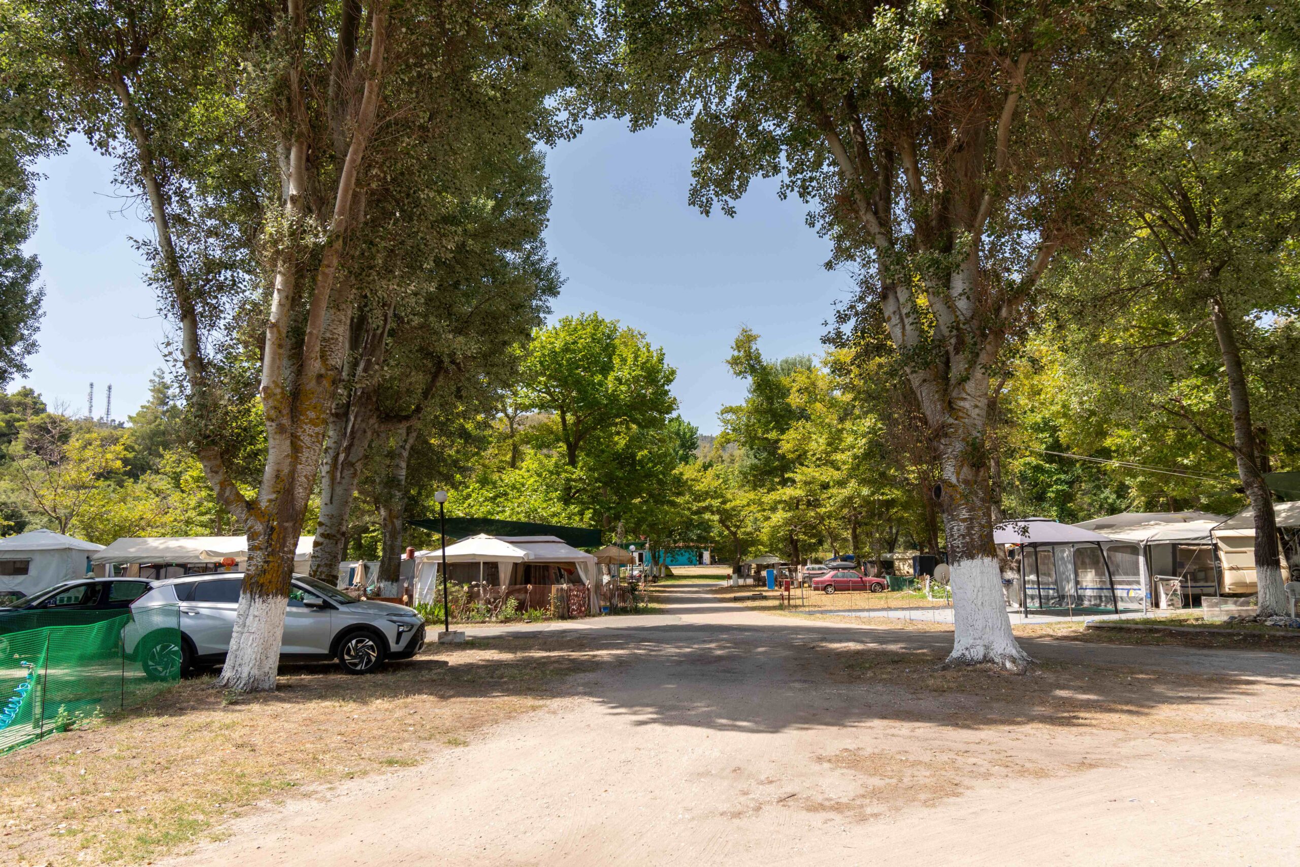 camping with trees